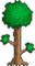 Terraria